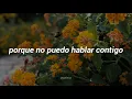 Fonseca - Te mando flores [letra]