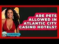 Are Pets Allowed in Atlantic City Casino Hotels - All About New Jersey