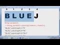 A Pattern program using substring method String Manipulation in Java