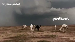 شيلة يامؤمن الريفي   تعديل مميز أداء فلاح المسردي دندنها