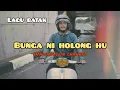 Download Lagu BUNGA NI HOLONG HU (Lirik dan Terjemahan) LAGU BATAK