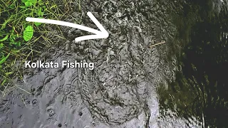 Official Fish Catching Kolkata #Fish