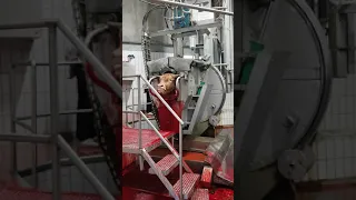 بسم الله والله أكبر عملية ذبح العجل على الطريقة الاسلامية بايطاليا 