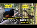 Download Lagu MURAI BATU YANG LEBIH COCOK MANDI SORE