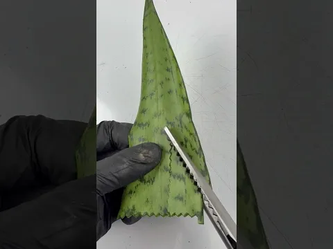 Cutting amazing #satisfying