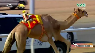 الشوط 10 سيف لـ علي سالم شراره الكتبي ختامي ولي عهد السعودية 2019 9 8 الطائف لقايا 