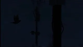 Камин EMIN JONY Reverb Slowed To Perfection 