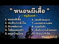 รวมเพลง หนอนผีเสื้อ - หนู มิเตอร์, พบรักปากนําโพ, ข้างหลังภาพ, ไร้อ้อยคอยรัก, หนุ่มบ้านไกล