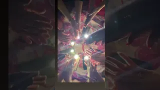هوبا رينا رينا مع حركات ايدين دندنها