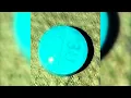 What Is This Mystery Blue Pill Causing Near Fatal Overdoses