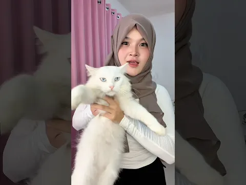 tebak isi hati yuki