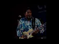 Luther Allison    Little Red Rooster