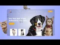 Responsive Pet Website Design Using HTML CSS Step-by-Step for Beginners