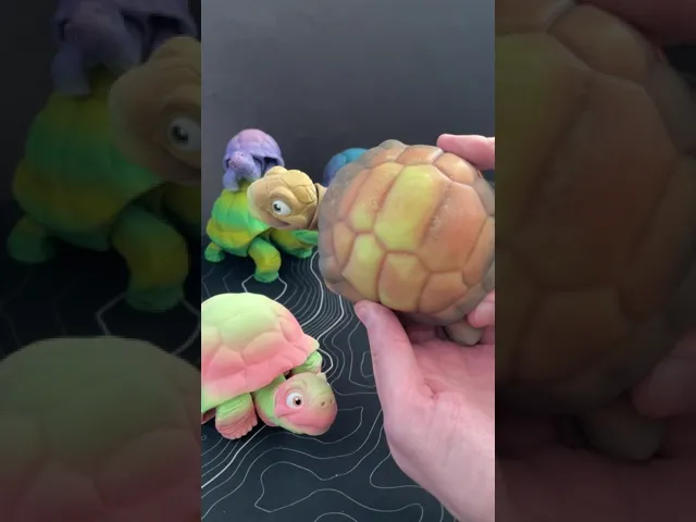 Tortoise - Articulated Figure video thumbnail