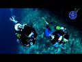 Diving tour from Split or Trogir - HAPPYtoVISIT