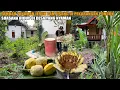 Download Lagu HIDUP SEDERHANA DI DESA, MENANAM JERUK, SEMANGKA \u0026 PISANG | EDISI BUAT RUJAK NANAS DI PONDOK 