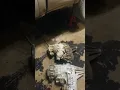 2002 Chevy manual transfer case change from a 2003 push button