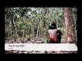 Download Lagu ဘီလူးဆိုင်းနဲ့ပူဇော်ခြင်း - လင်းလင်း