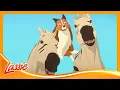 Lassie Saves the Circus The New Adventures of Lassie Cartoons For Kids