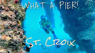 We’ve been Waiting All Season to See These Underwater!! –  Ep 38