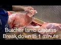 Lagu How to cut lamb carcass by hand