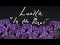 Luella - In The Pines (Where Did You Sleep Last Night)