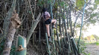 bushcraft survival how to cut bamboo survival skills living off grid