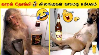 funny animals video 2022 part 2 comedy