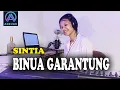 Download Lagu BINUA GARANTUNG - SINTIA