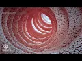 How is urine produced in the body?KIDNEY, NEPHRON, BLADDER FUNCTION|Anatomy of the Urinary System