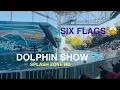 FRONT ROW at the DOLPHIN SHOW Six Flags Marine World Bay Area Explorers