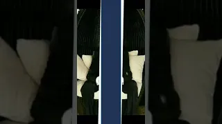 مقتطفات من أغنية كدة برضو اغاني محمود عبدالعزيز 