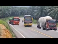 Lagu Bus Akap Meliuk Liuk Hilang Tanaga Di Bukit Kodok, 