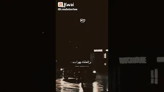 قيديو لاغنية تاه قلبي لما لقاه خلاني مشيت وراه و 