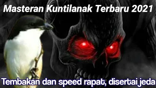 masteran kuntilanak terbaru speed rapat dengan jeda dan suara jernih