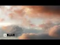 Catching Flies - Care 4 U