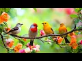 Download Lagu Stress at Work? Find Calm with Birdsong 🕊️🕊️🕊️ \u0026 Piano