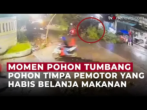 Detik-Detik Mengerikan! Pohon Tumbang Timpa Pemotor Saat Hujan Lebat