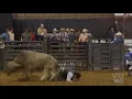 Chris LeDoux Hooked On An Eight Second Ride