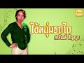 ไอ้หนุ่มรถไถ l สายัณห์ สัญญา [ต้นฉบับเพลงดัง]