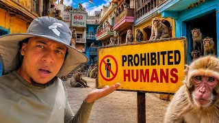 I ENTERED THE MONKEY CITY FORBIDDEN TO HUMANS IN INDIA 🇮🇳