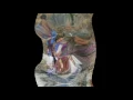 Nawang Khechog - Wisdom and Compassion