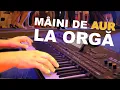 Download Lagu Colaj acordeon si orga, Muzica de nunta intrumentala #HoraInstrumentala #sarba #orga #acordeon