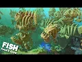 FILLING THE OCEAN WITH THOUSANDS OF GIANT BONE FISH What have I done Feed and Grow Fish