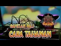 Download Lagu Dj Bali_CARA TAHANAN_Made Gunawan_Gamelan Bali