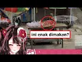 Download Lagu Inaho mau nyobain bunga tabur? [@落乃いなほ-Ochinai Inaho-]