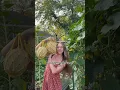 Turning my 2000 square foot backyard into a mini homestead