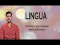 Download Lagu Lingua - Betekenis_\u0026_Uitspraak_Woord_Wereld_Audio_Video_Woordenboek