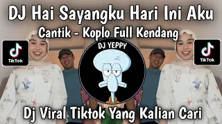 dj hai sayangku hari ini aku cantik style bajidor koplo jedag jedug viral tiktok terbaru 2026 