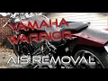 RS Warrior 1700 AIS removal